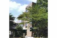 勝国寺 青龍殿